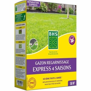 Graines BHS 1 kg
