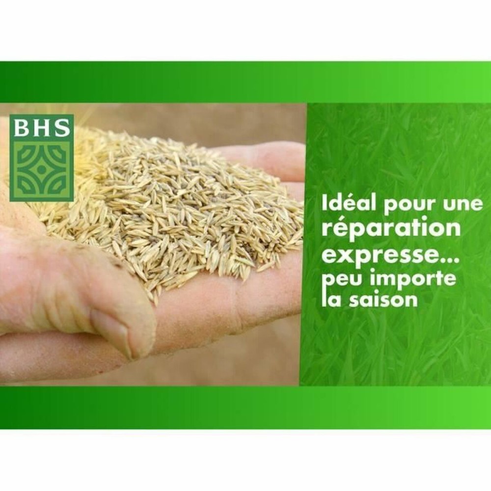 Graines BHS 1 kg