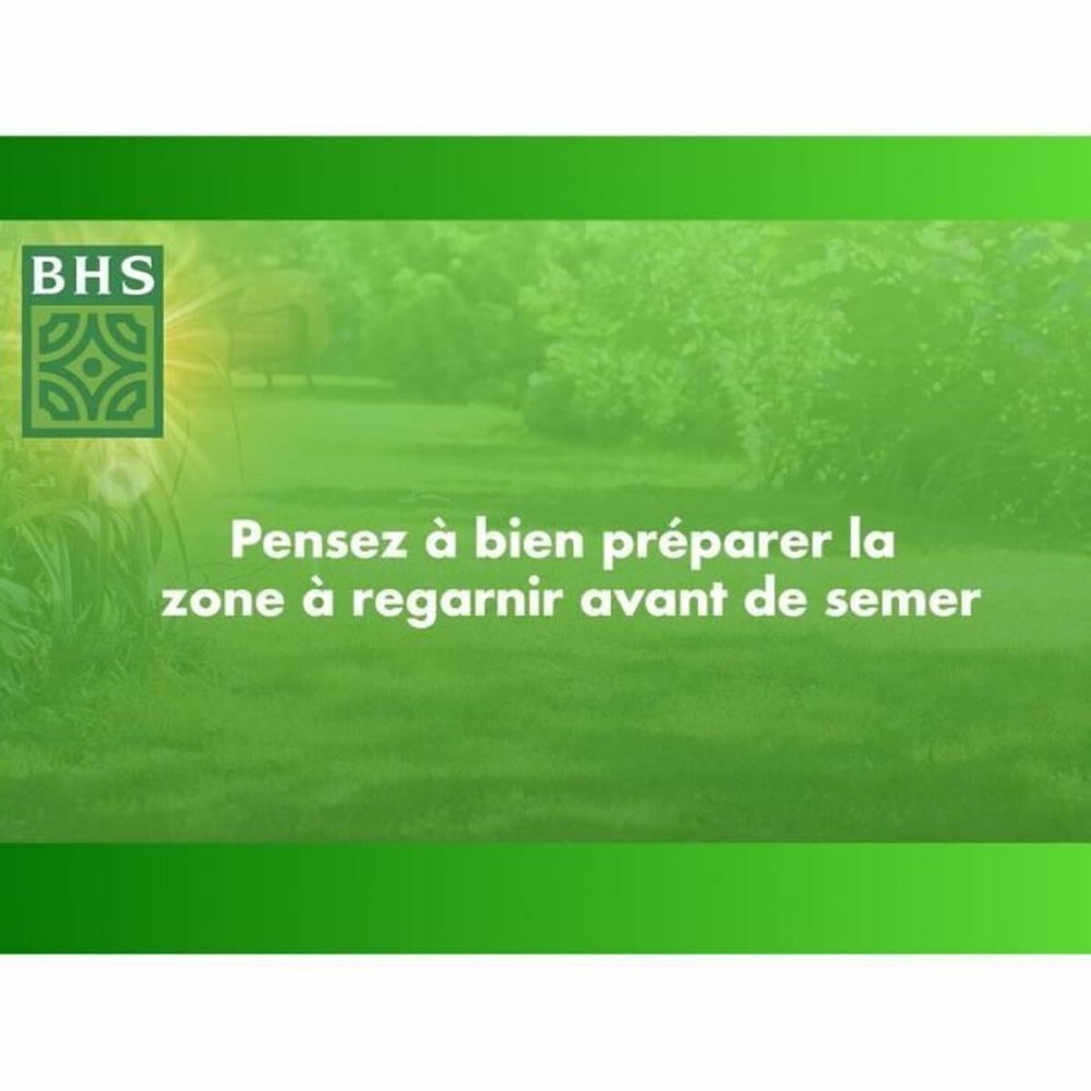 Graines BHS 1 kg