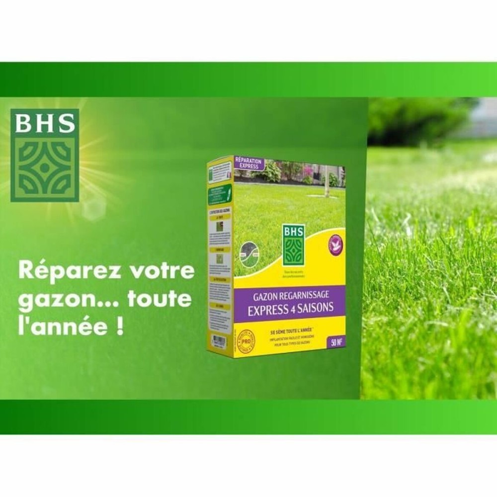 Graines BHS 1 kg