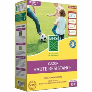 Graines BHS 1 kg