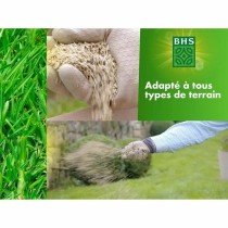 Graines BHS 5 kg