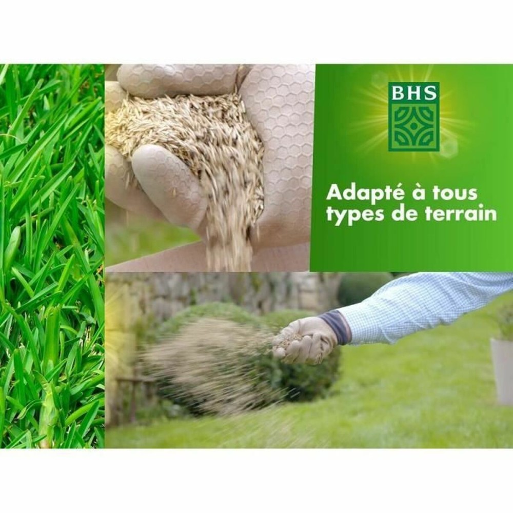 Seeds BHS 5 kg