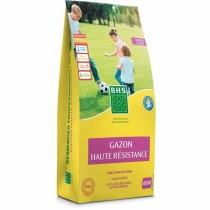 Graines BHS 10 kg