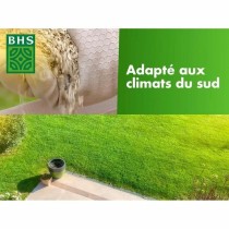 Seeds BHS 5 kg