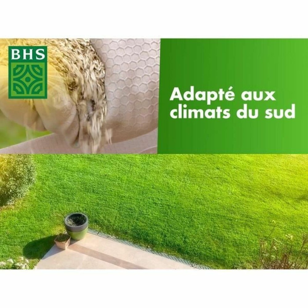 Seeds BHS 5 kg