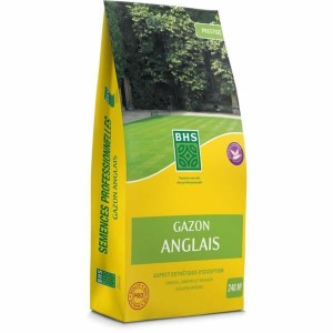 Graines BHS 5 kg