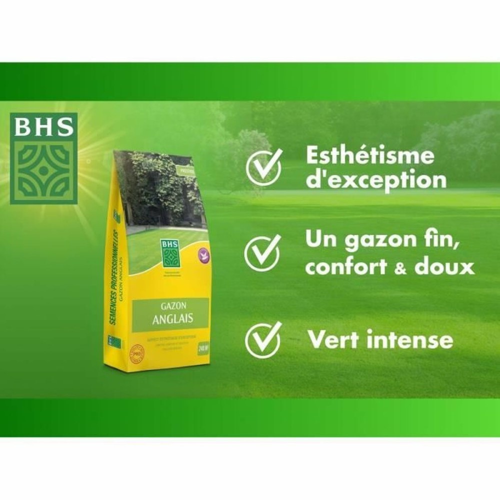 Graines BHS 5 kg