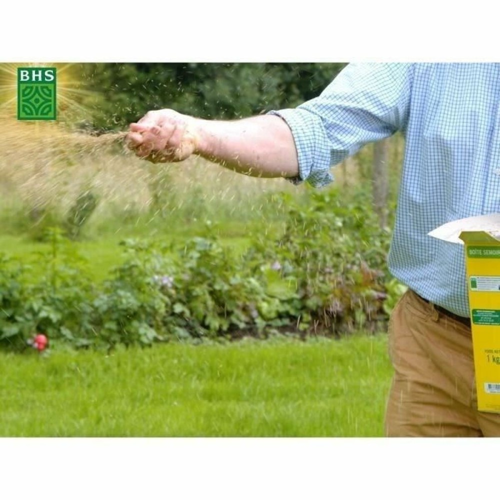 Seeds BHS 10 kg