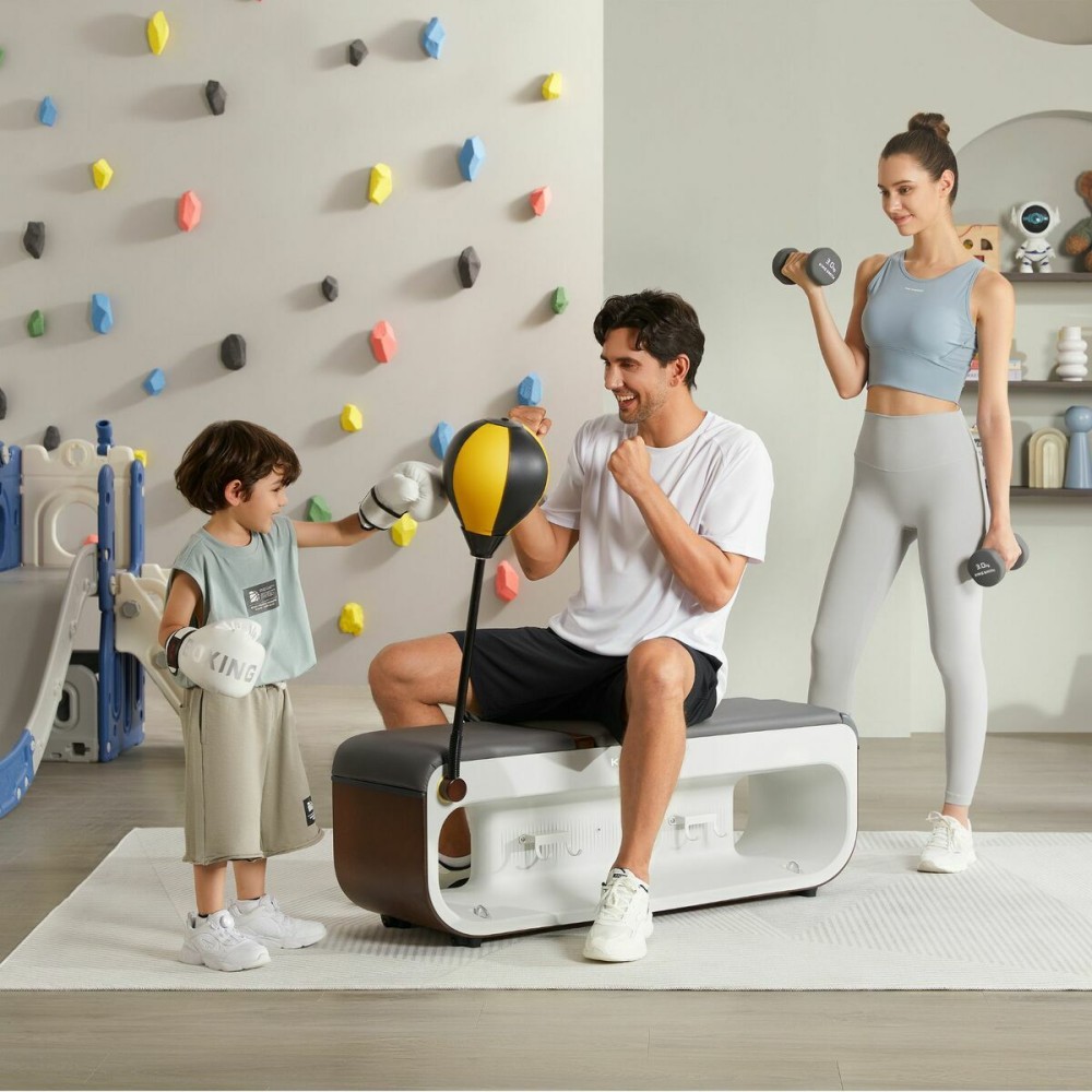 Multi-station Bodybuilding Bench Xiaomi FBB1C
