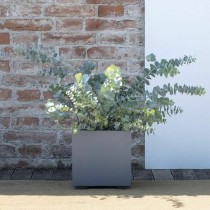 Pot Deroma Gris 25 cm Plastique Carré Seau Ø 25 cm