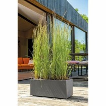 Pot Deroma Anthracite