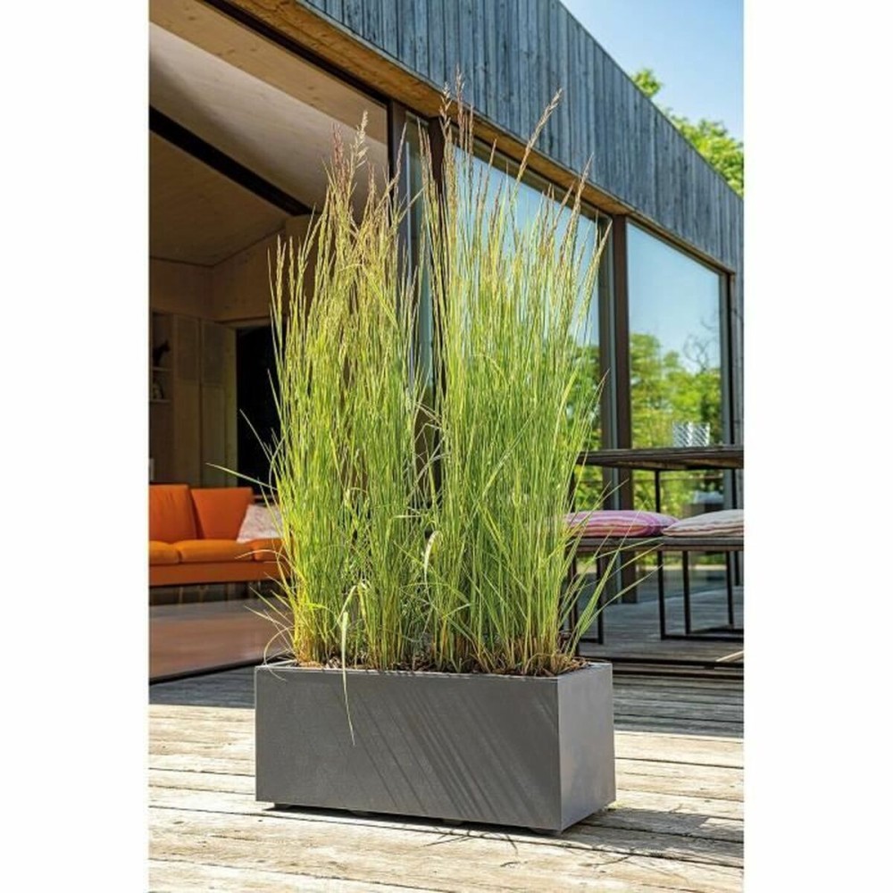 Pot Deroma Anthracite