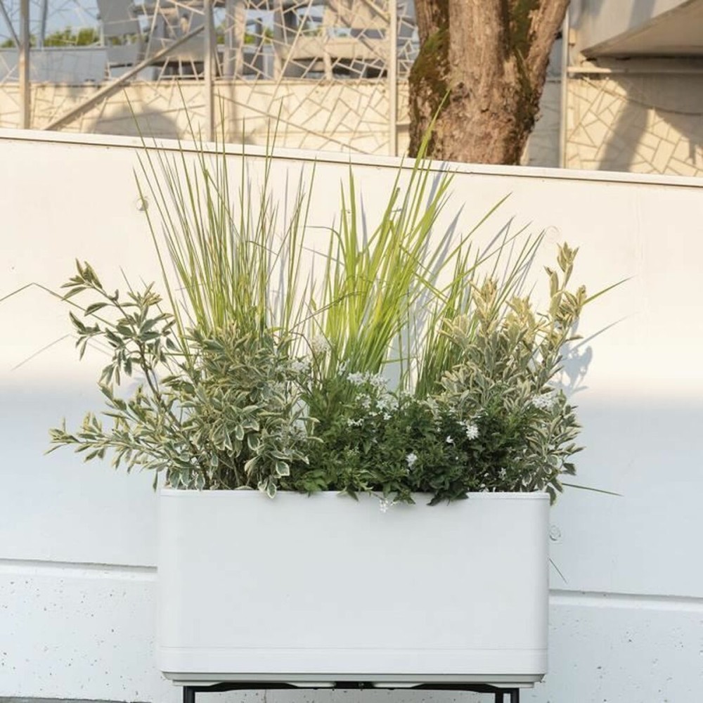 Jardinière auto-arrosante Deroma Perle 78 x 38 x 39 cm Plastique Rectangulaire Ø 78 cm