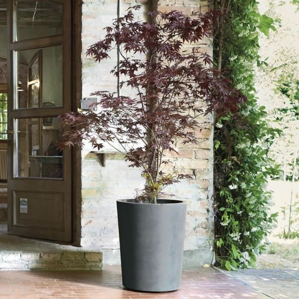 Blumentopf Deroma Grau Kunststoff rund Zylinder
