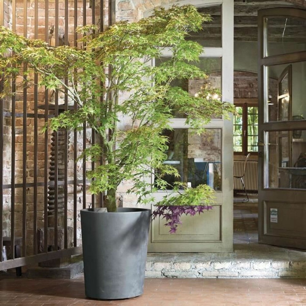 Blumentopf Deroma Grau Kunststoff rund Zylinder