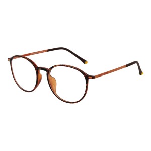 Brillenfassung Funky Buddha FBD1003 50002