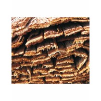 Canisse Faura f27101 Marron Sapin fils de fer écorce d'arbre 1 x 3 m