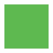 High Concentration Liquid Colourant Bruguer 5056654 Green 50 ml