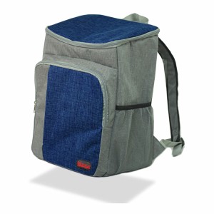 Portable Fridge Hidalgo Bicoloured 20 L