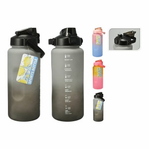 Wasserflasche Lifetime 2 L Kunststoff