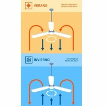 Ventilateur de Plafond avec Lumière Orbegozo CP 116116 40 W Noir