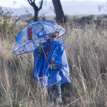 Parapluie Sonic Ø 71 cm Bleu PoE 45 cm
