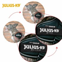Harnais pour Chien Julius K9 IDC Rouge