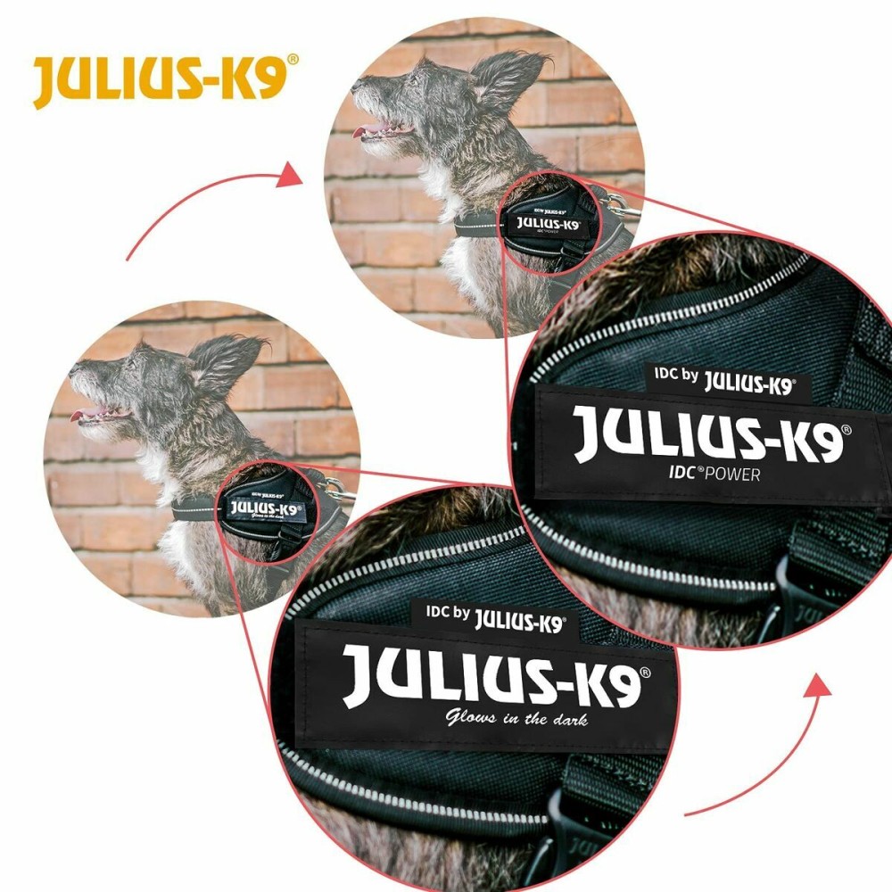 Harnais pour Chien Julius K9 IDC Rouge