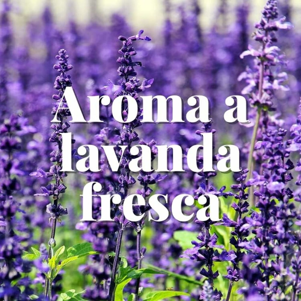 Mothproof Orion Lavendar
