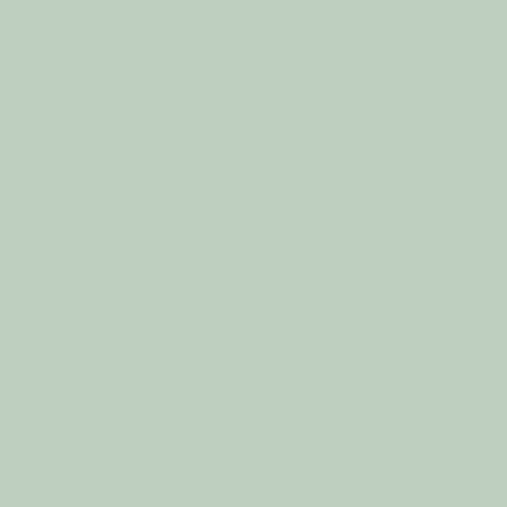 Primer Paint Ripolin Vert Satin finish