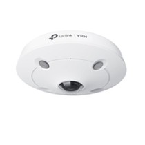 Surveillance Camcorder TP-Link INSIGHT S655I