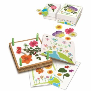 Modelling Clay Game Hape