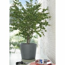 Blumentopf Deroma