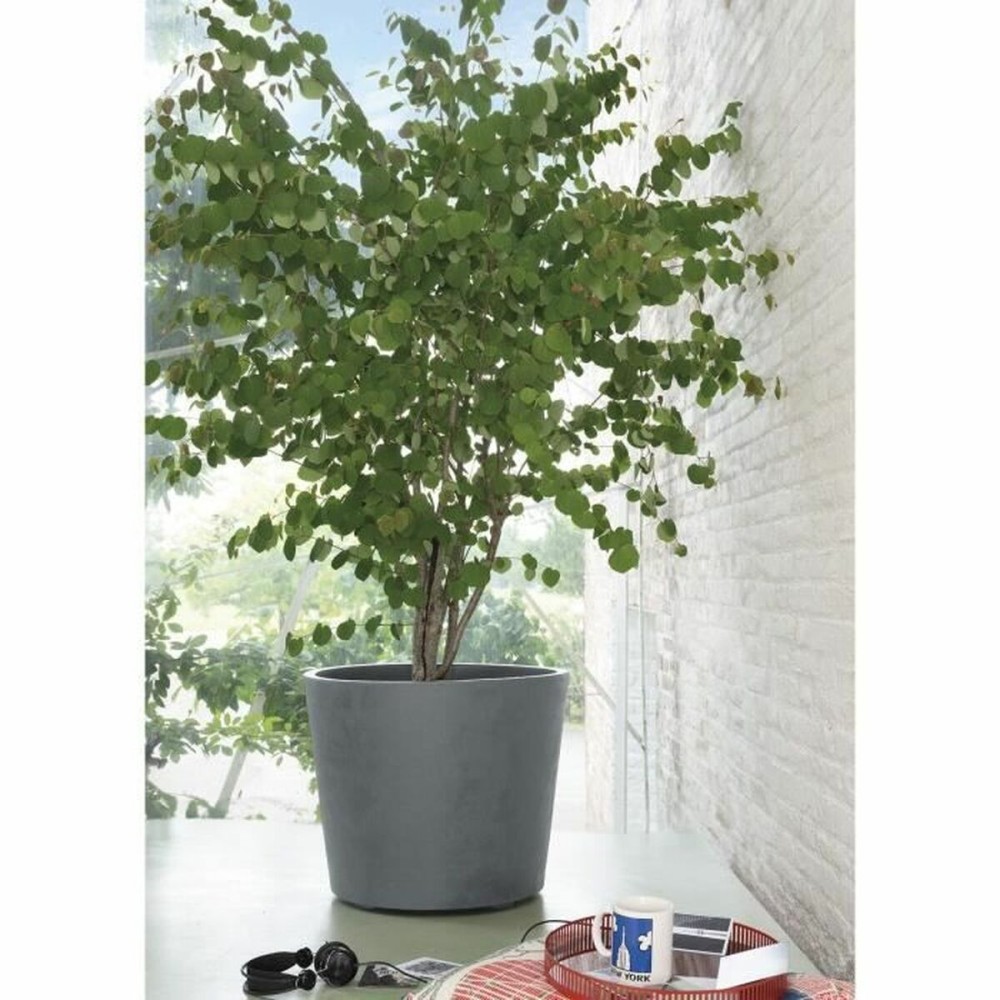 Blumentopf Deroma