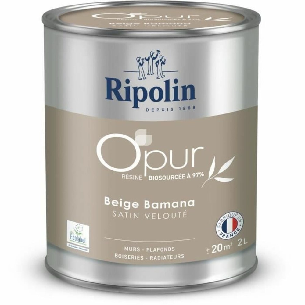 Primer Paint Ripolin