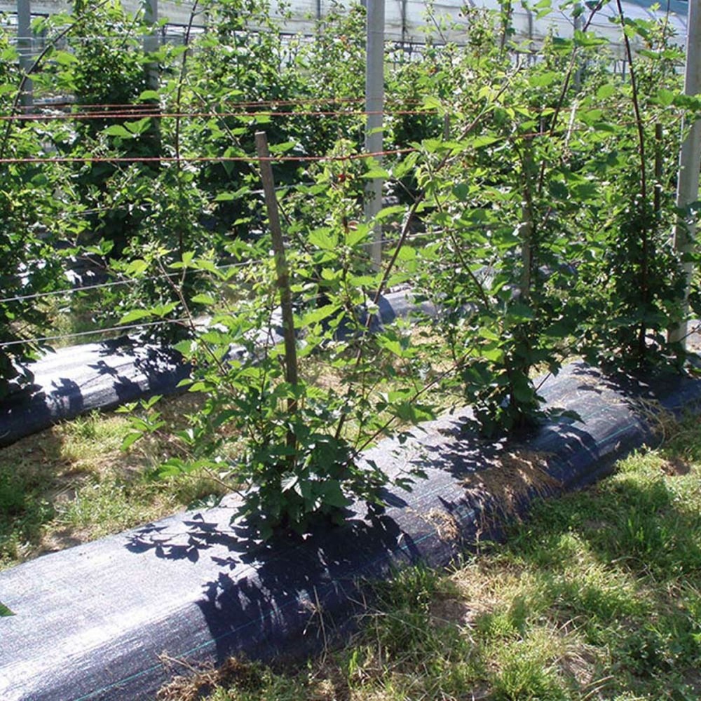 Abdecknetz Faura Schwarz 1 x 100 m