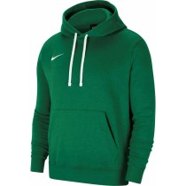 Men’s Hoodie FLC PARK20 PO Nike CW6894 302 Green