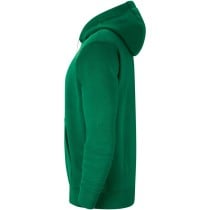 Herren Sweater mit Kapuze FLC PARK20 PO Nike CW6894 302 grün