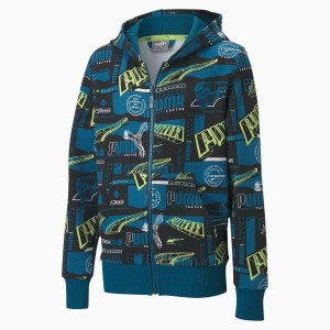 Jungen Sweater mit Kapuze Puma FULL-ZIP 583197 Blau