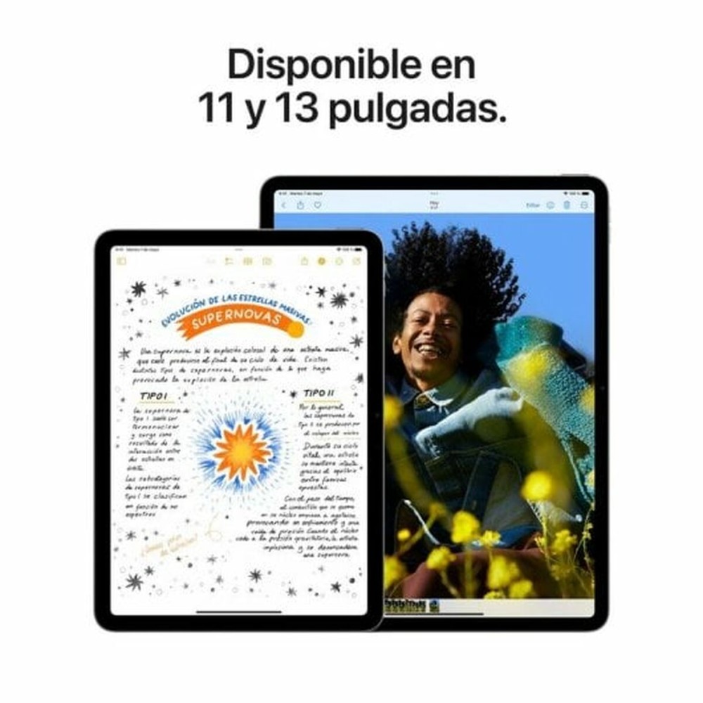Tablette Apple iPad Air 2024 11" M2 8 GB RAM 128 GB Pourpre