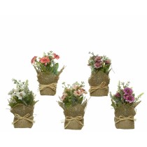 Plante décorative Ø 7 x 17 cm