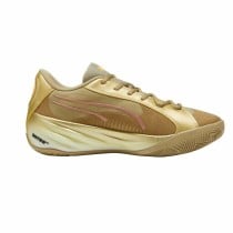 Chaussures de Running pour Adultes Puma All-Pro NITRO CNY