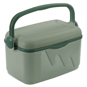 Portable Fridge Curver 261196 Green 10 L Plastic (1 Piece)