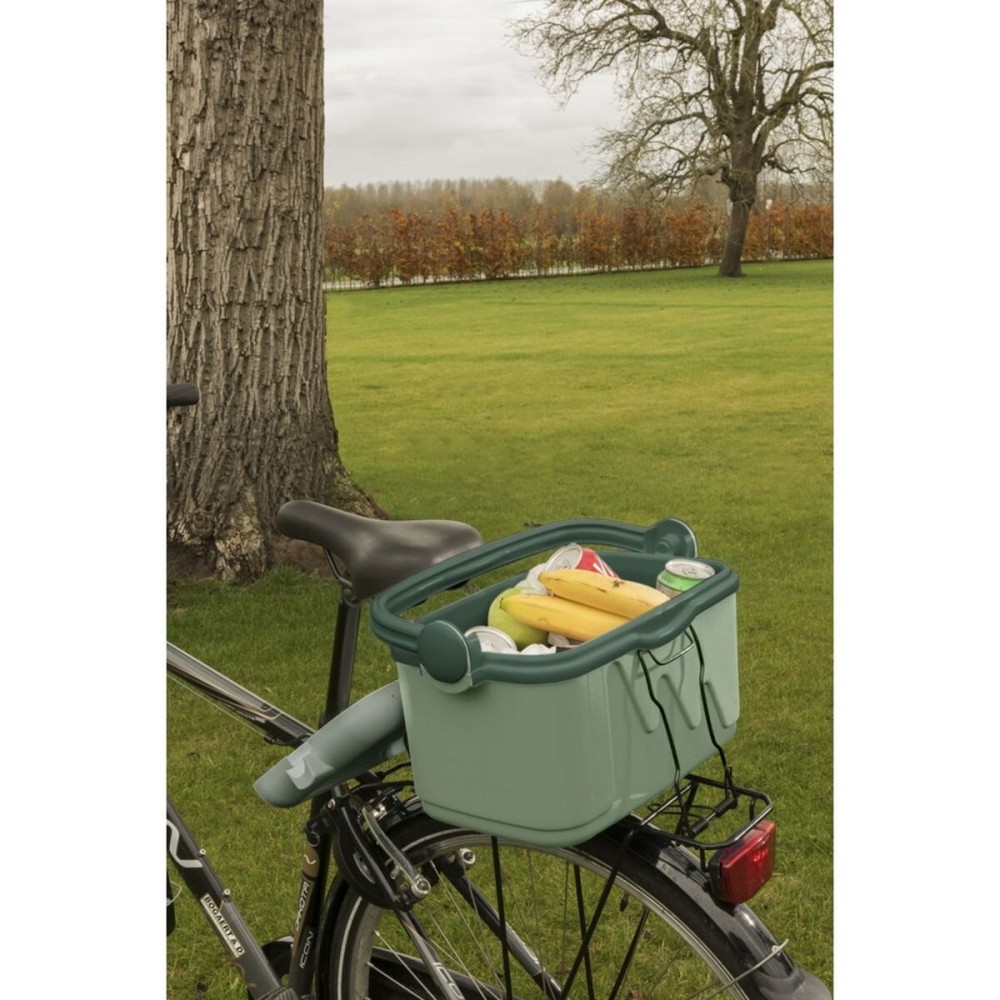 Portable Fridge Curver 261196 Green 10 L Plastic (1 Piece)