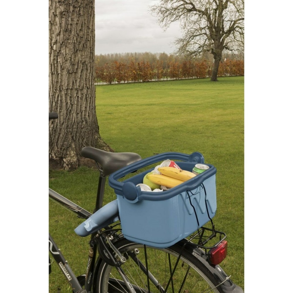 Portable Fridge Curver 261193 Blue 10 L Plastic (1 Piece)
