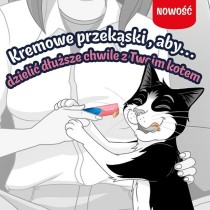 Snack for Cats Purina Felix Deli Moments Salmon 4 x 10 g