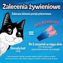 Snack für Katze Purina Felix Deli Moments Salmon 4 x 10 g