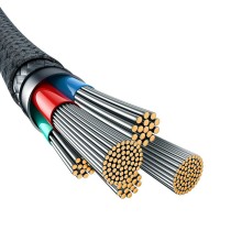 USB-C auf Lightning Verbindungskabel Baseus P10355803221-00 Weiß Schwarz 1 m