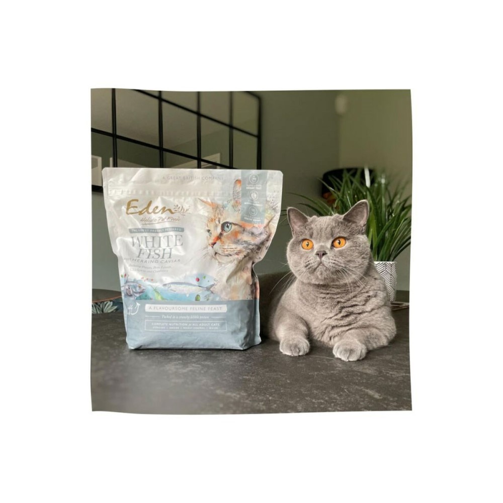 Futter EDEN Fisch 1,5 Kg